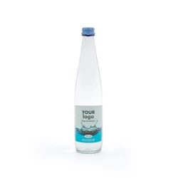 Вода мінеральна Закарпатська LUX у склі з лого 0.5 л