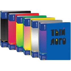 Папка пластиковая со 100 файлами 50 мм с печатью логотипа