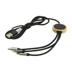 Дата-кабель RODEN 120 см з перехідниками Type-C, Lighting, Micro-Usb, USB та підсвідкою лого